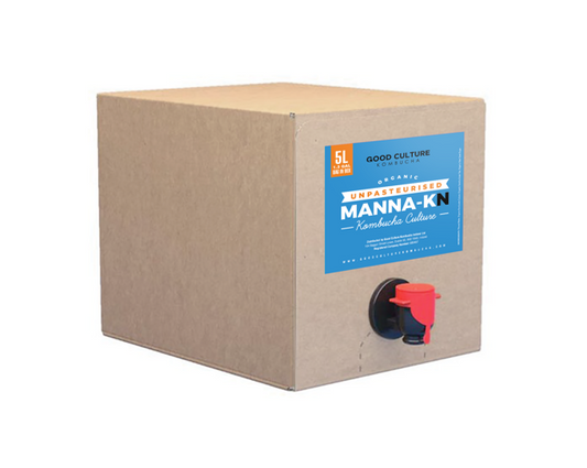 ORGANIC Unpasteurised 5 Litre Bag in Box of Non-alcoholic Fermented Black Tea Kombucha - Manna-KN